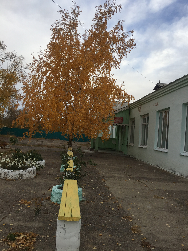 Школа осенью Школа осенью.