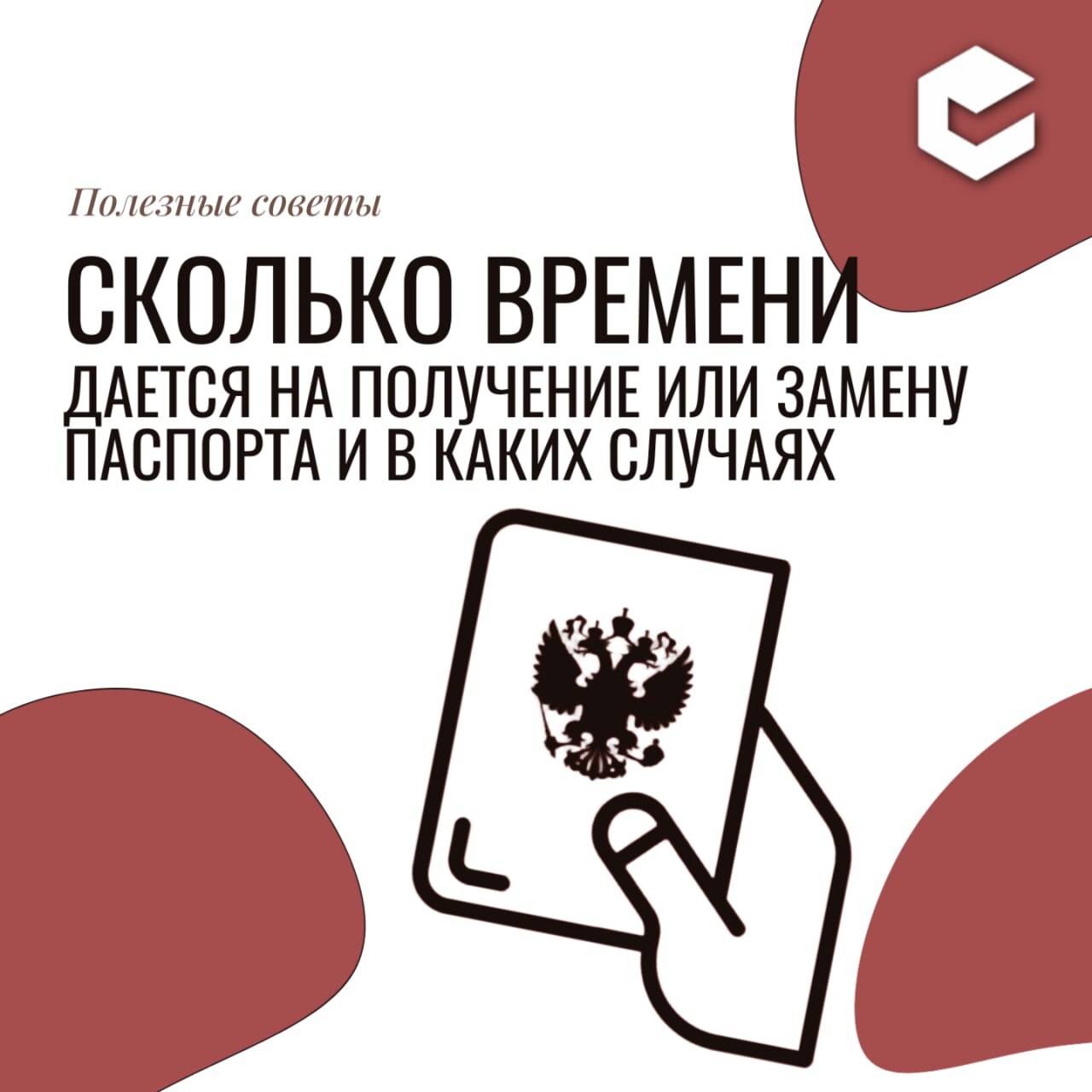Сколько времени дается на замену паспорта (копия).